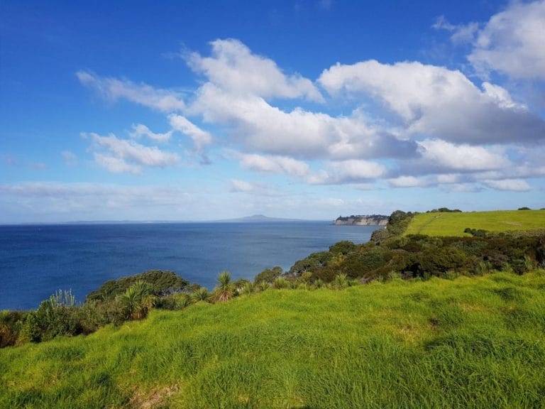 Lovely views at the start of the Long Bay Regional Park coastal track