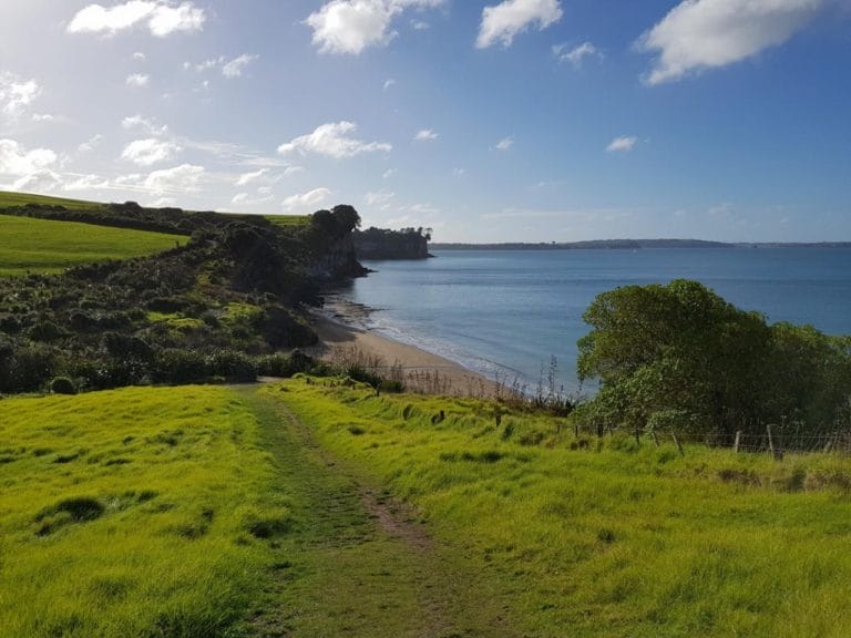 Lovely views of Grannys Bay - Great walks in Auckland
