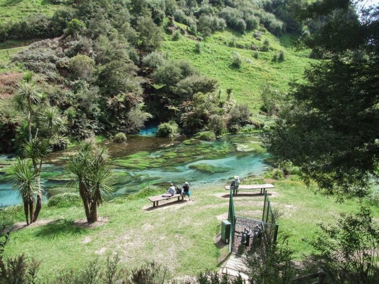 The end of the Blue Springs, Waihou River Walk