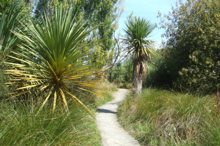 Travis Wetlands Walk