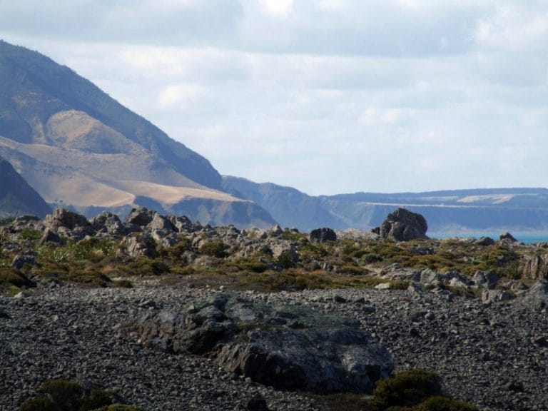 Turakirae Head