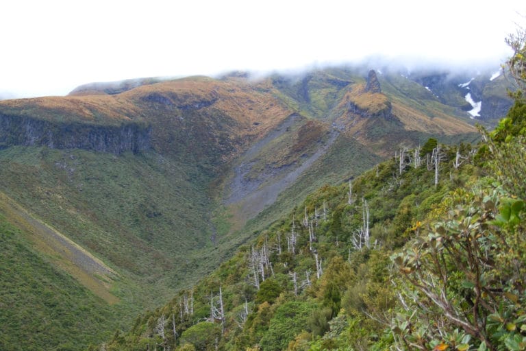 Veronica Walk, Mt Egmont