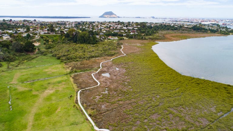 Waikareao Walk view from the drone