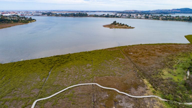 Waikareao Walk view from the drone