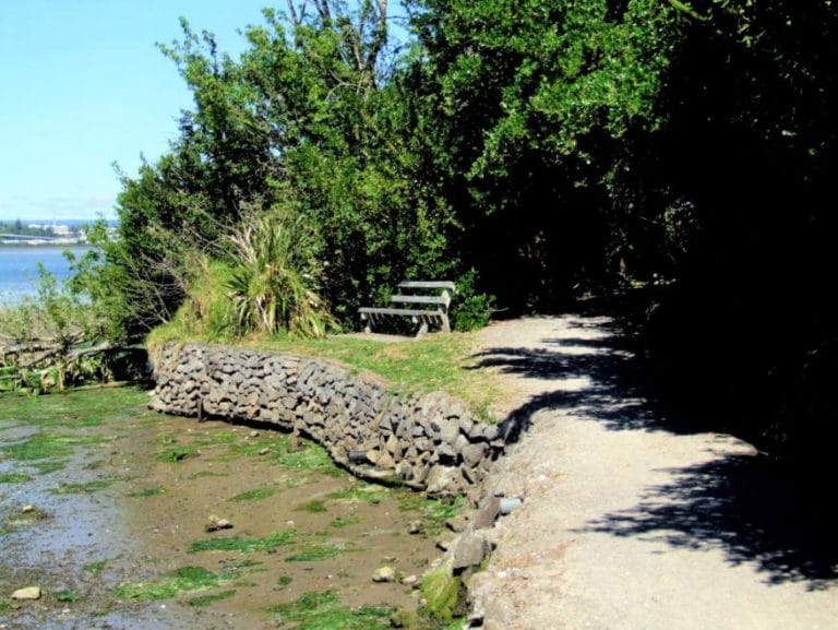 Waikareao Estuary Walk