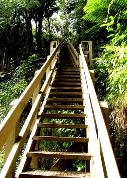New staircase to the top of Wairere Falls