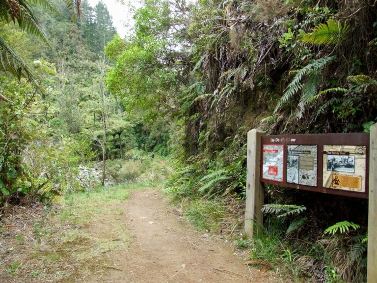 Devil's Elbow on the Waitawheta Tramway walk