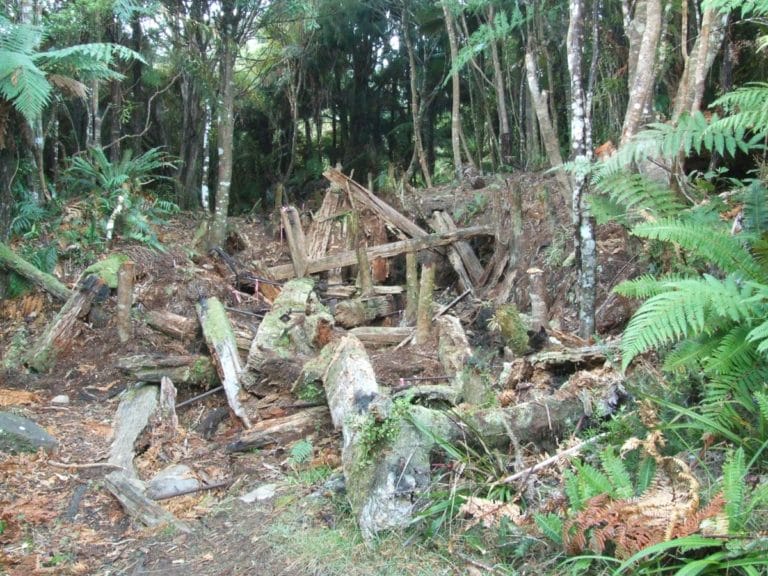 Old Waitawheta Sawmill