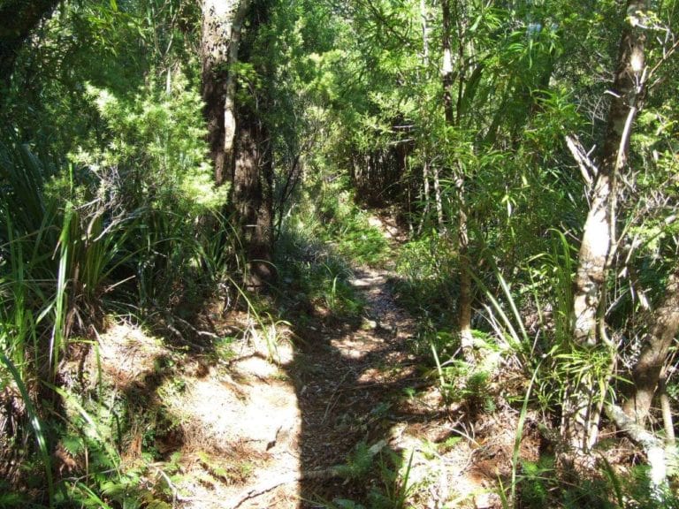 Waitengaue tram track