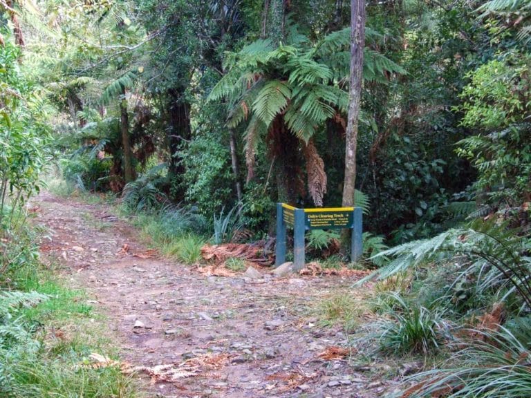 Turn off to Dalys Clearing hut walk