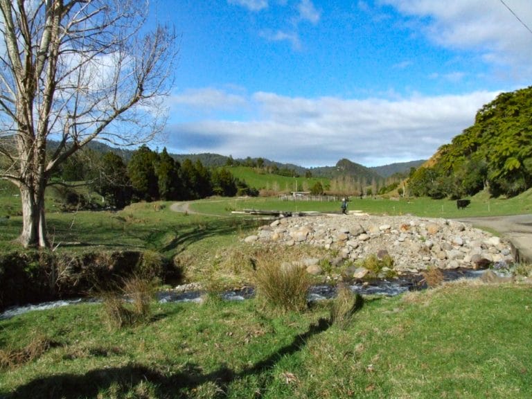 Walking over farm land alongside a small creek on the Waitawheta Tramline walk