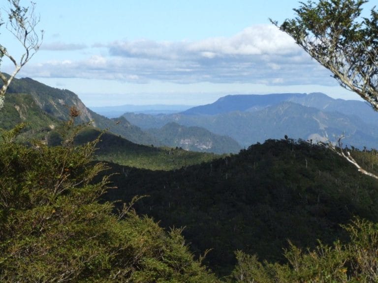 Karangahaka Gorge Walk To Wharawhara Road End