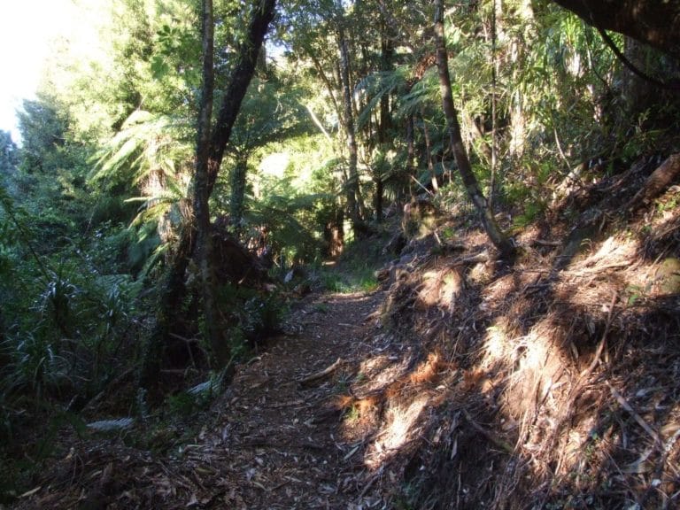 Karangahaka Gorge Walk To Wharawhara Road End