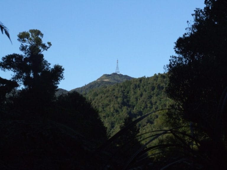 Karangahaka Gorge Walk To Wharawhara Road End