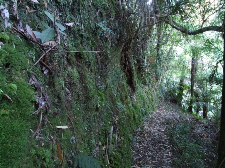 Karangahaka Gorge Walk To Wharawhara Road End