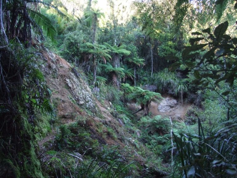 Karangahaka Gorge Walk To Wharawhara Road End