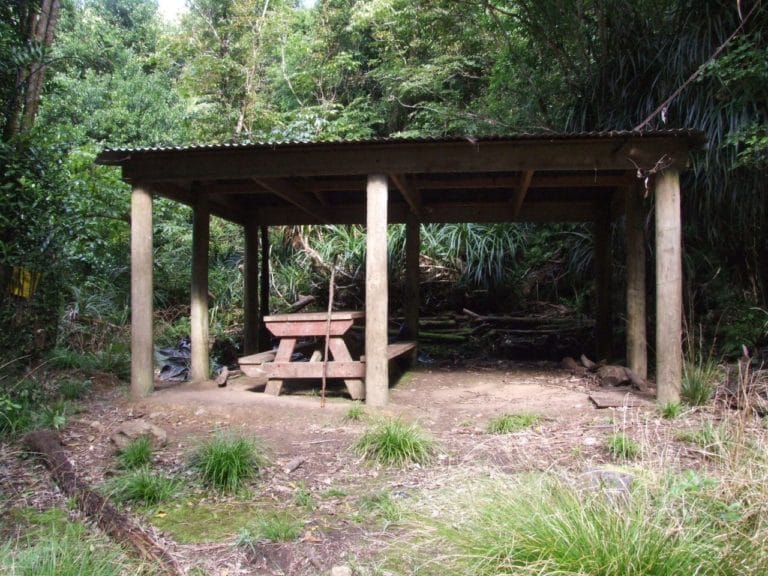 Karangahaka Gorge Walk To Wharawhara Road End