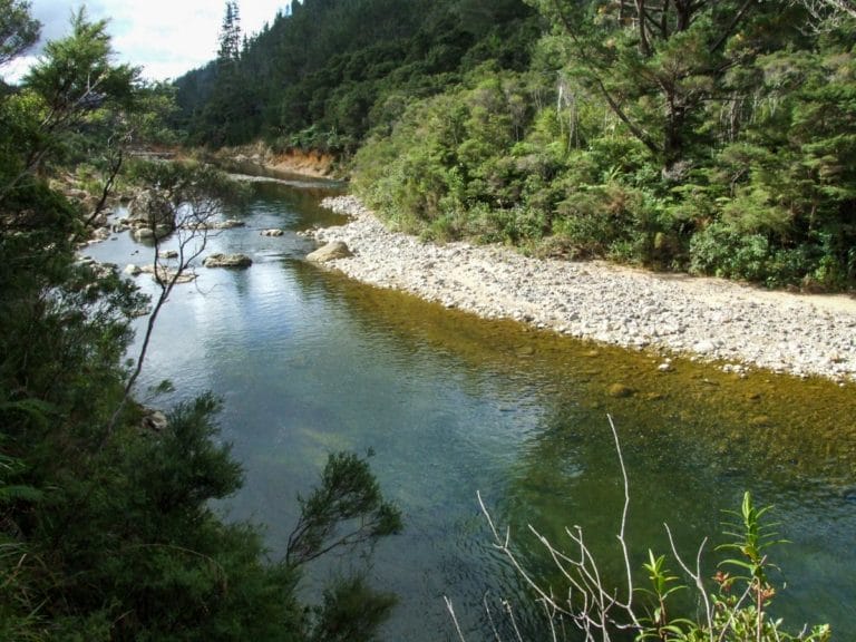 Walking backdown the Tairua River