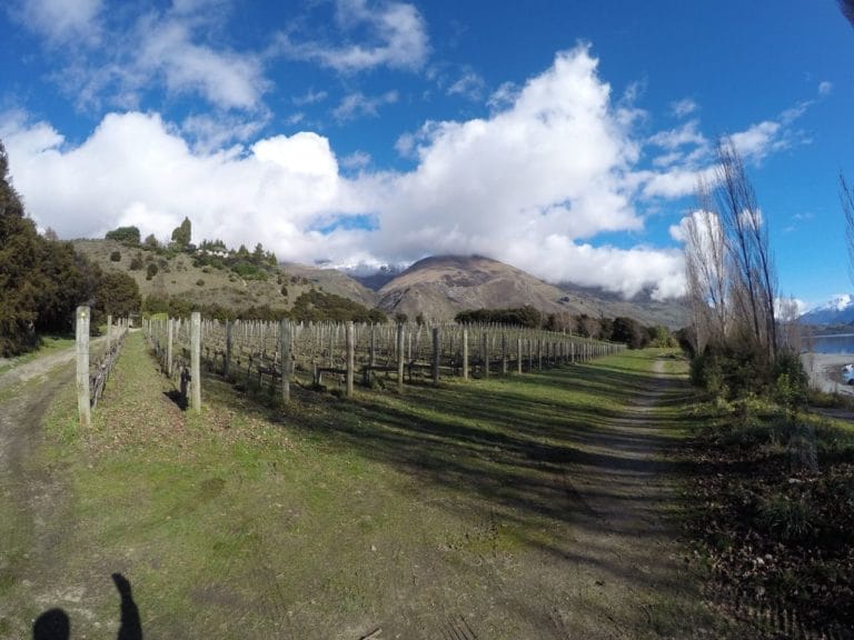 Wanaka Lake