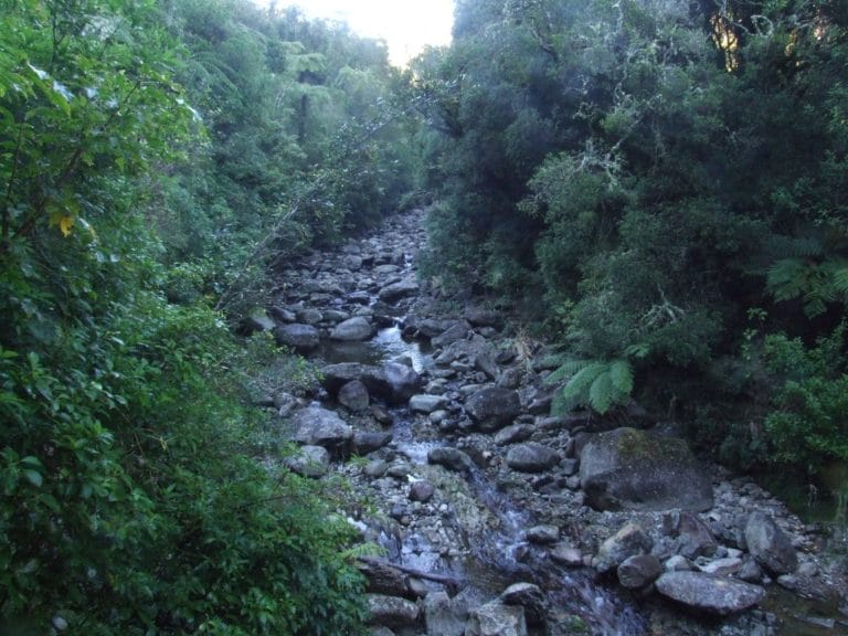 Karangahaka Gorge Walk To Wharawhara Road End