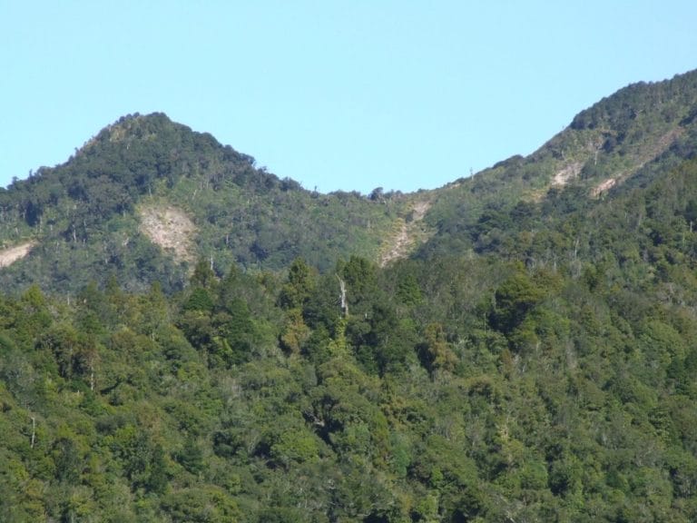 Karangahaka Gorge Walk To Wharawhara Road End