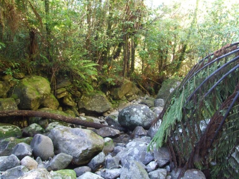 Karangahaka Gorge Walk To Wharawhara Road End