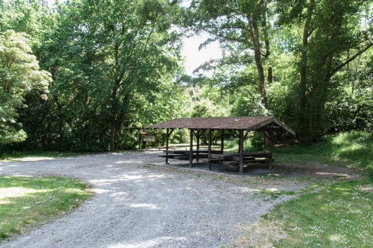 Carpark At White Pine Bush Reserve Walkway