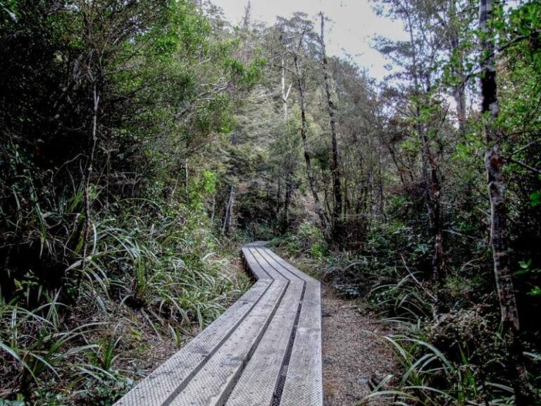 Boardwalk on the way back