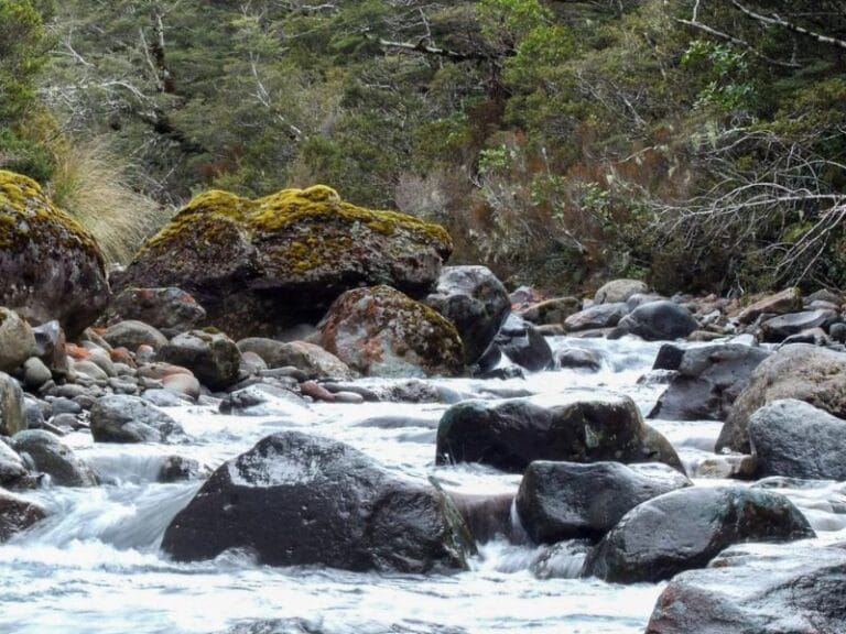 Looking back up the stream