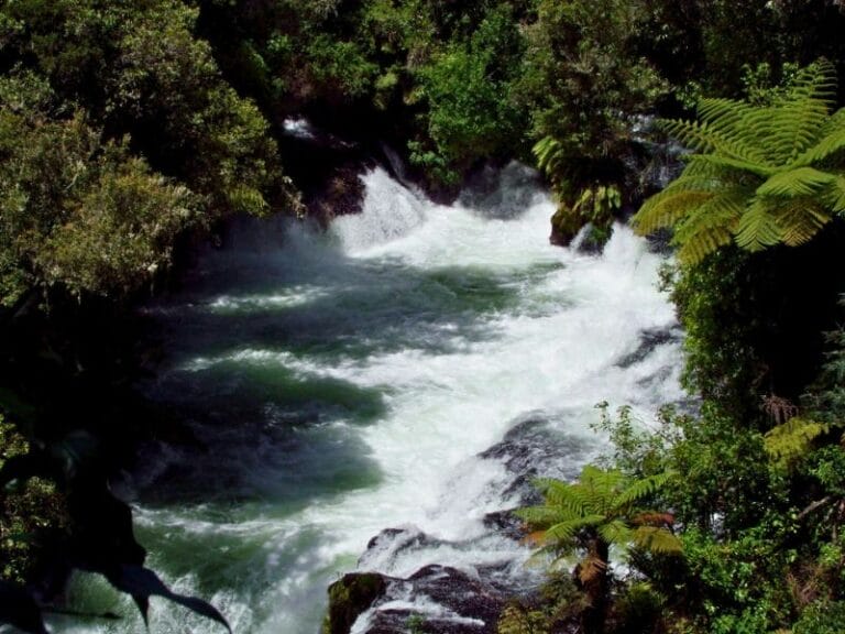 Looking down from the lookout at Okere Falls