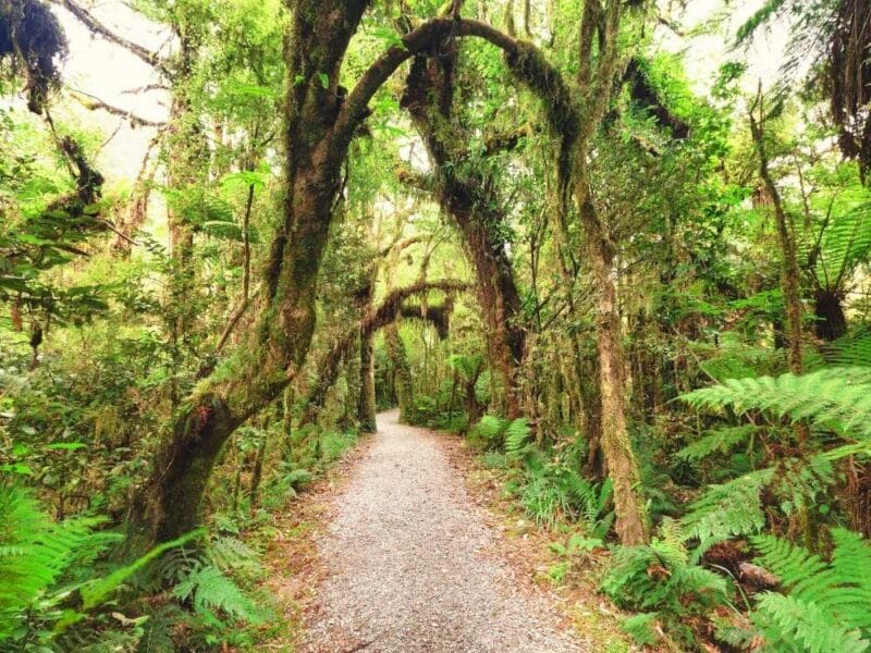 Geraldine Walks and Hiking in Canterbury by Freewalks.nz