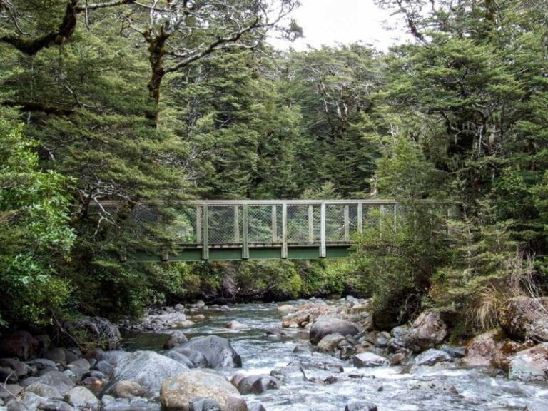 One of the bridges over the stream