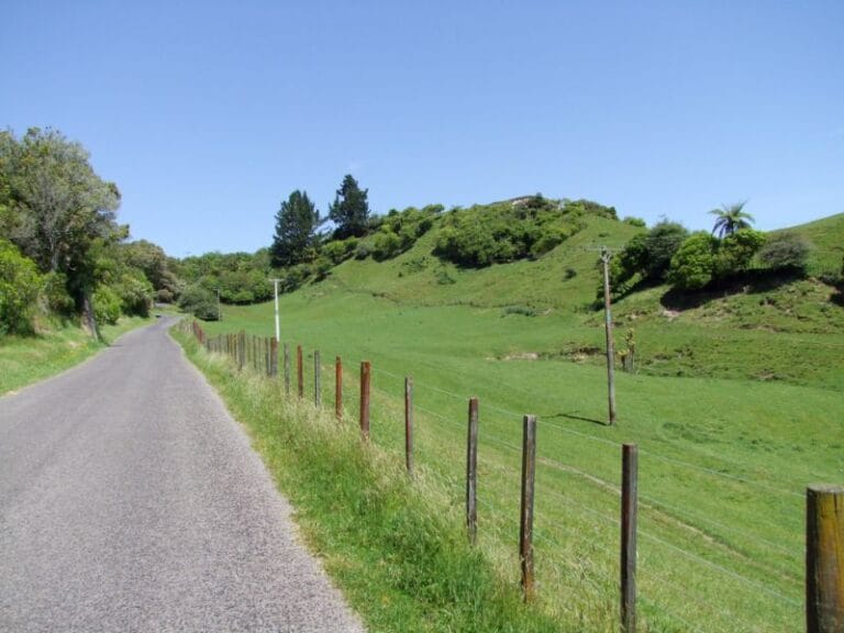 Road through farmland on the way back to the beginning of the Okere Falls walk