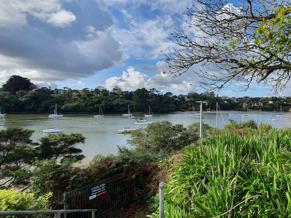 Sea views on the Herald Island Path in Hobsonville, Auckland by Sandra at Freewalks.nz
