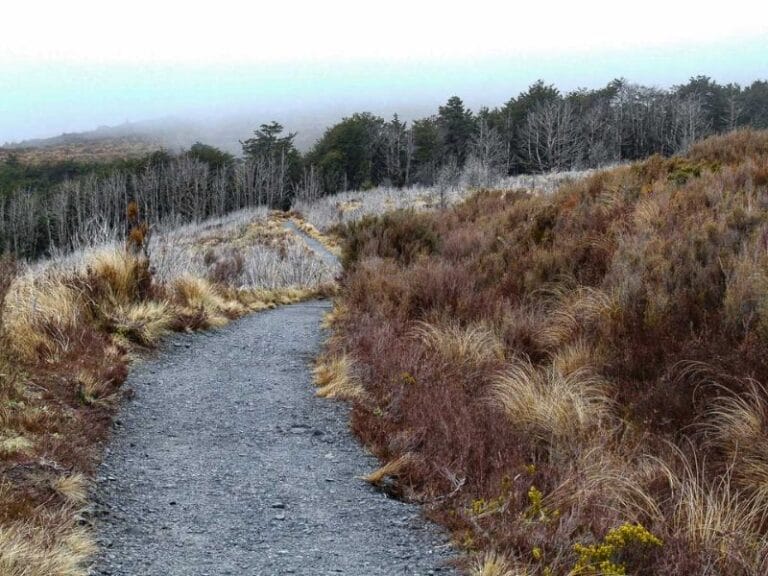 Start of the track from the carpark