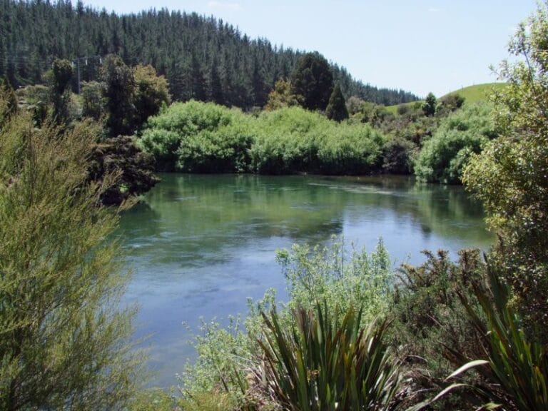 View of the Trout Pools from the track