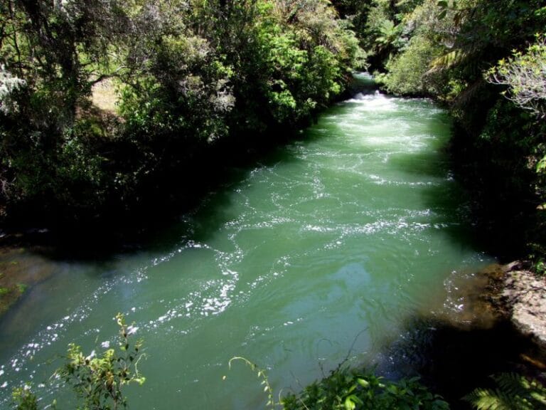 Views from the walk bridge of Okere River at Tutea Falls