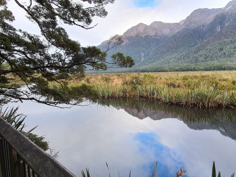 Mirror Lakes Walk near Te Anau