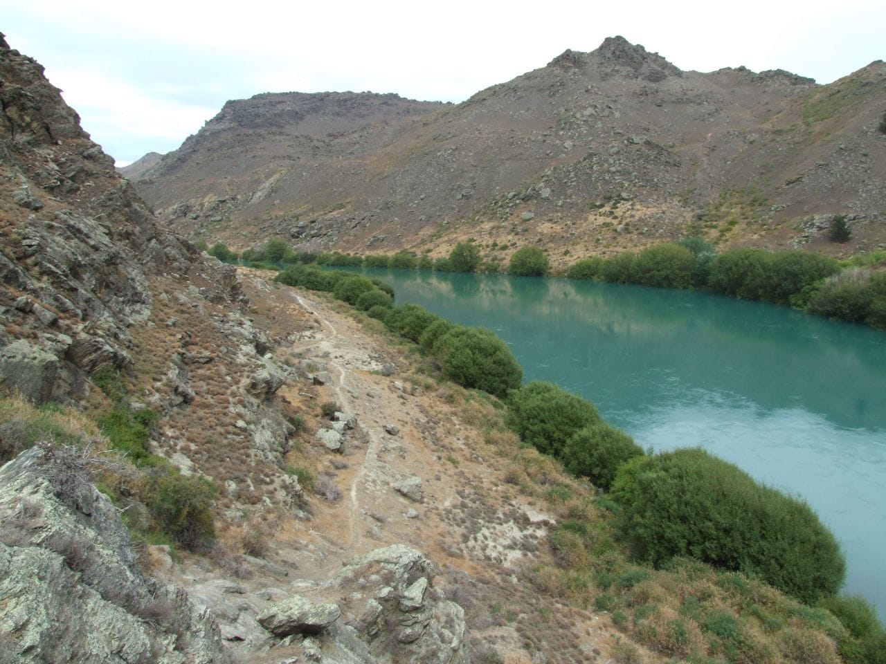 Walk up to Butchers Point on the Lake Roxburgh walk||||||Lake Roxburgh to Doctors Point Walk