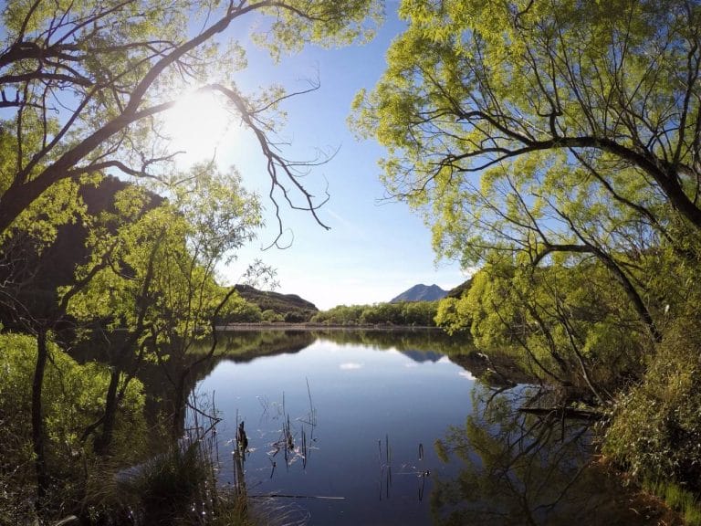 Mirror view of Diamond Lake|||||Diamond Lake Walk