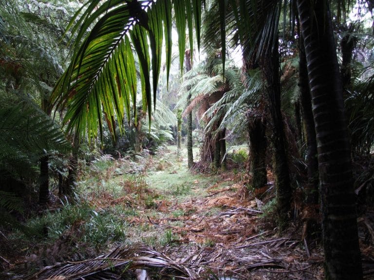 Mt Messenger to Kiwi Road||||||Mt Messenger to Kiwi Road