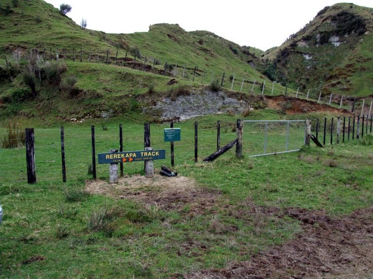 The Start of the walk |||||||Rerekapa Hut Walk