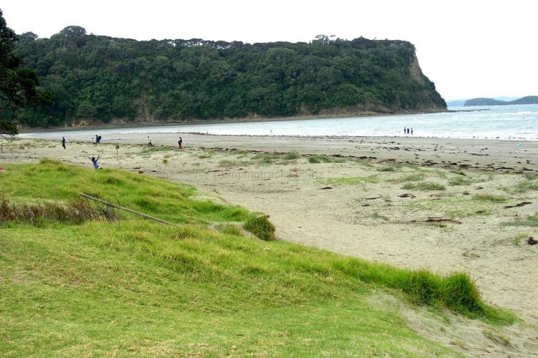 Wenderholm Regional Park|||||Wenderholm Regional Park Beach Walk