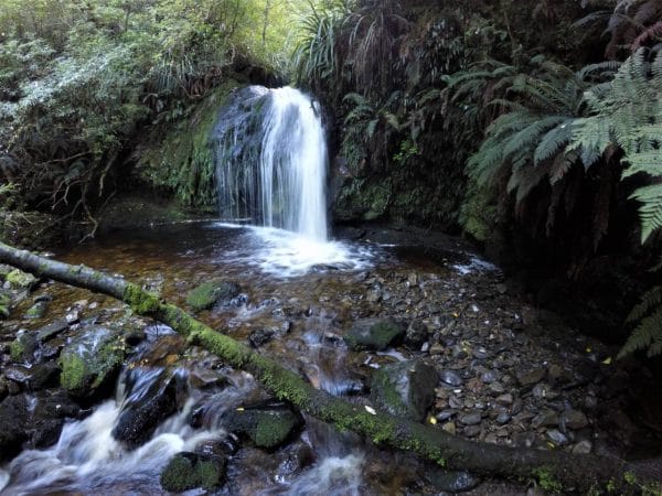 Whisky Gully Waterfall||||||Whisky Gully Waterfall Track