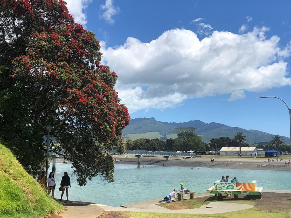 The start of the walk with 756m Mt Karioi in the background.