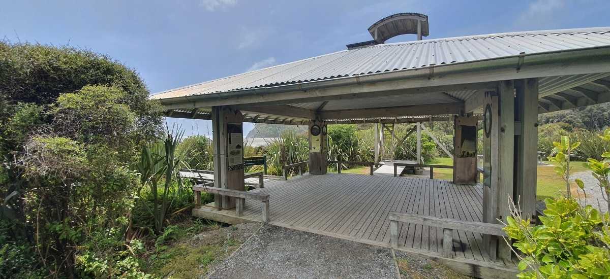 Kahikatea Swamp Forest Walk at Ship Creek - Short West Coast Walk - Freewalks.nz (2)