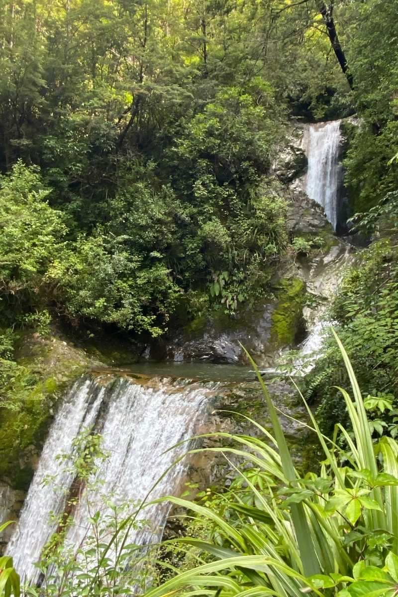 Arriving at the Ryde Falls in Mt Oxford, South Island, NZ - Freewalks.nz
