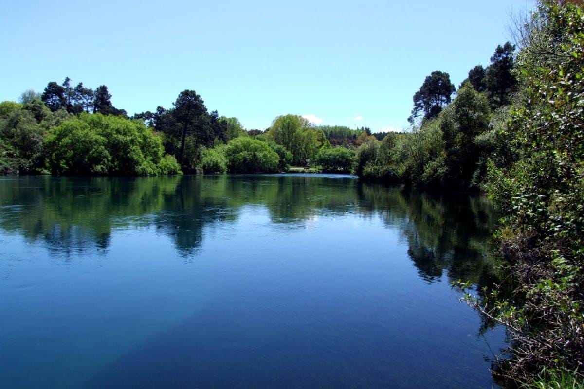 The mighty Waikato River so calm here until it reaches Huka Falls