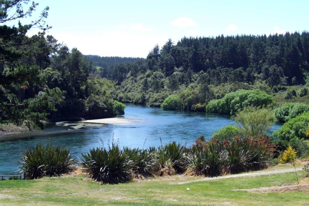 Views out over the Waikato River