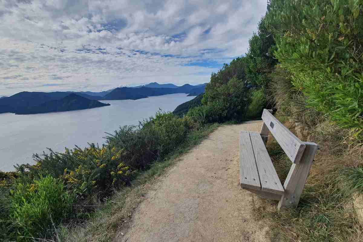 Snout Track from the carpark to Queen Charlotte View in Picton - Freewalks.nz